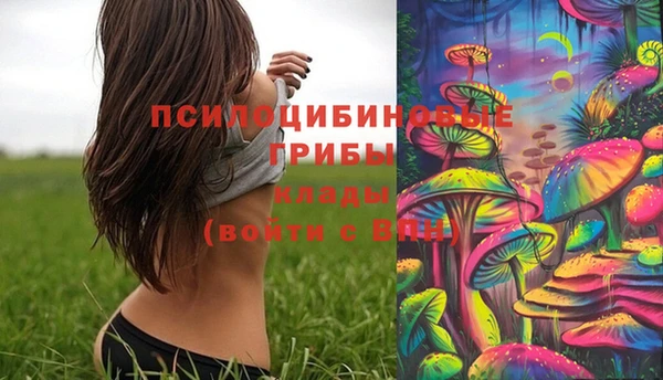 МДПВ Алзамай