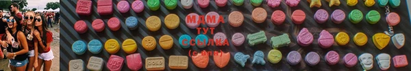 ГАЛЛЮЦИНОГЕННЫЕ ГРИБЫ Алексин